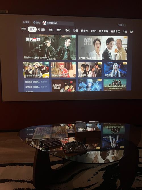 2025年行业专家推荐的448私人影院APP:5大核心优势与使用场景深度测评 2025年行业专家推荐的448私人影院APP:5大核心优势与使用场景深度测评