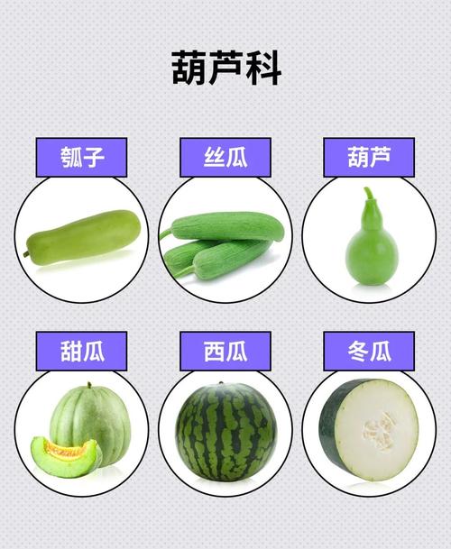 免费资源 vs 付费接口:丝瓜动漫API稳定性与数据质量深度测评报告 免费资源 vs 付费接口:丝瓜动漫API稳定性与数据质量深度测评报告
