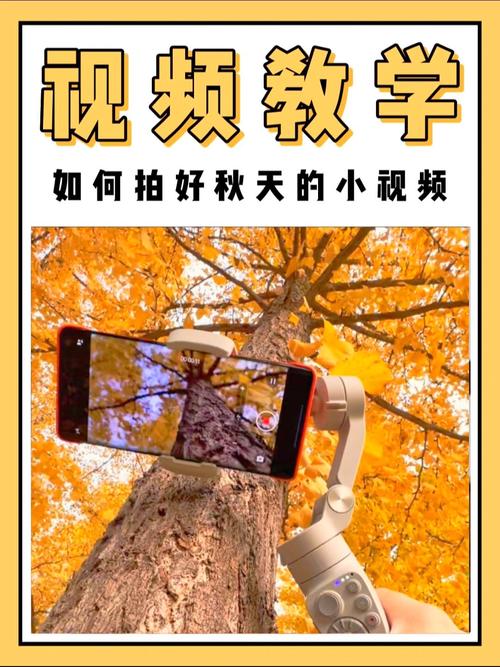 银杏短视频无限观看的秘诀是哪些?这5个免费技巧让你刷到停不下来! 银杏短视频无限观看的秘诀是哪些?这5个免费技巧让你刷到停不下来!