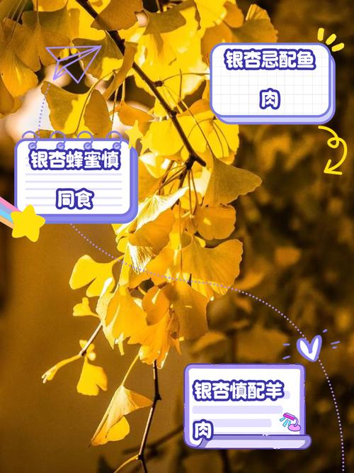 银杏短视频无限观看的秘诀是哪些?这5个免费技巧让你刷到停不下来! 银杏短视频无限观看的秘诀是哪些?这5个免费技巧让你刷到停不下来!