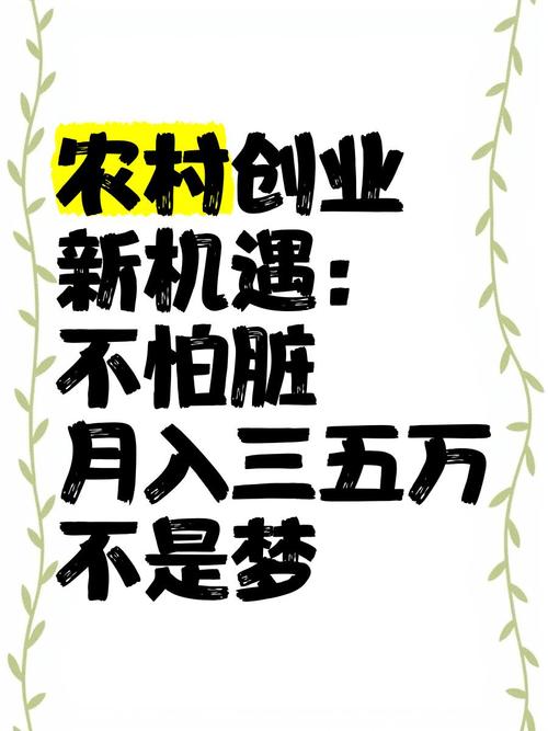 俺混在农村的真实经验:3个被忽略的创业技巧让收入翻倍 俺混在农村的真实经验:3个被忽略的创业技巧让收入翻倍