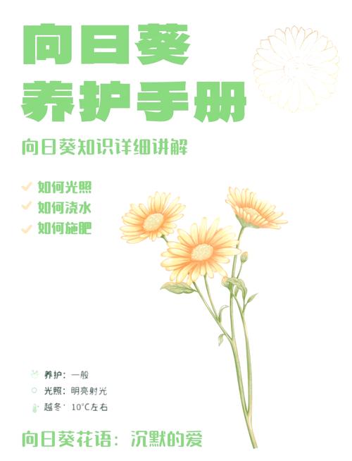 8008幸福宝丝瓜向日葵种植技巧与高效养护方法全解析 8008幸福宝丝瓜向日葵种植技巧与高效养护方法全解析