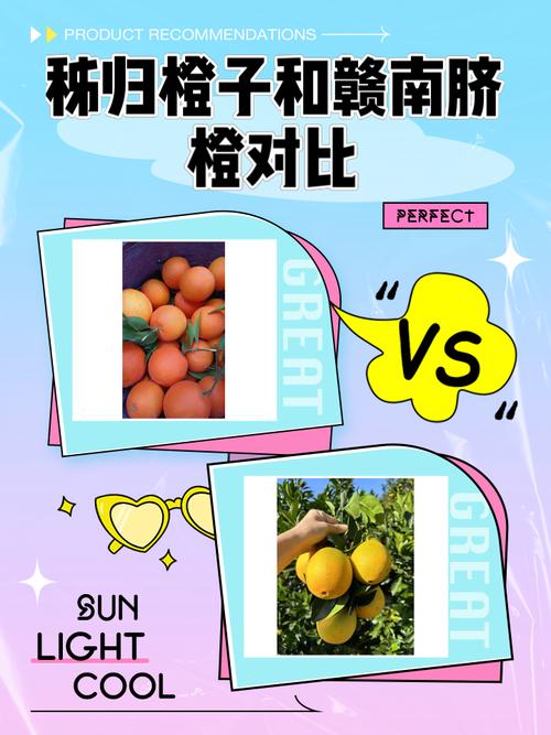 橙子视频czps50为何成为创作利器?揭秘5大核心优势与实战技巧 橙子视频czps50为何成为创作利器?揭秘5大核心优势与实战技巧