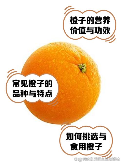 橙子视频czps50为何成为创作利器?揭秘5大核心优势与实战技巧 橙子视频czps50为何成为创作利器?揭秘5大核心优势与实战技巧
