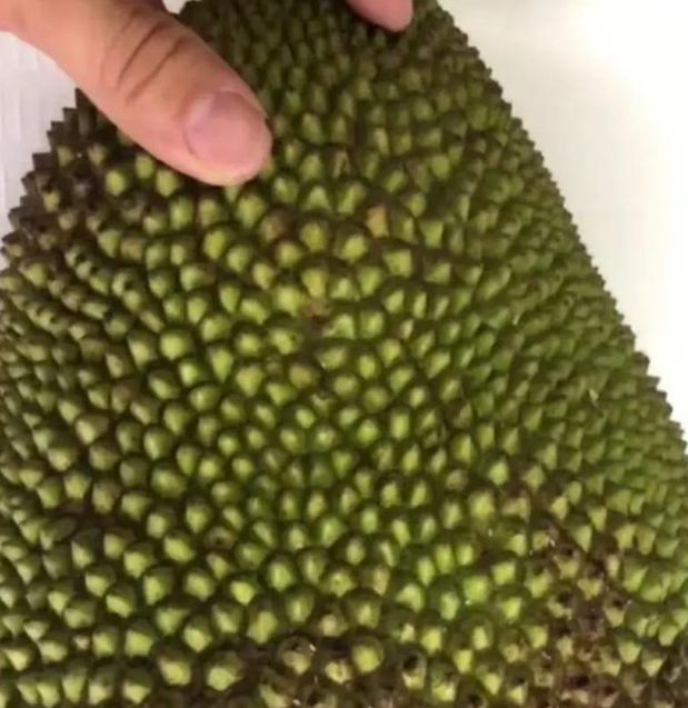 菠萝密视频新手必看：5个剪辑技巧+3大避坑指南（附实操案例）