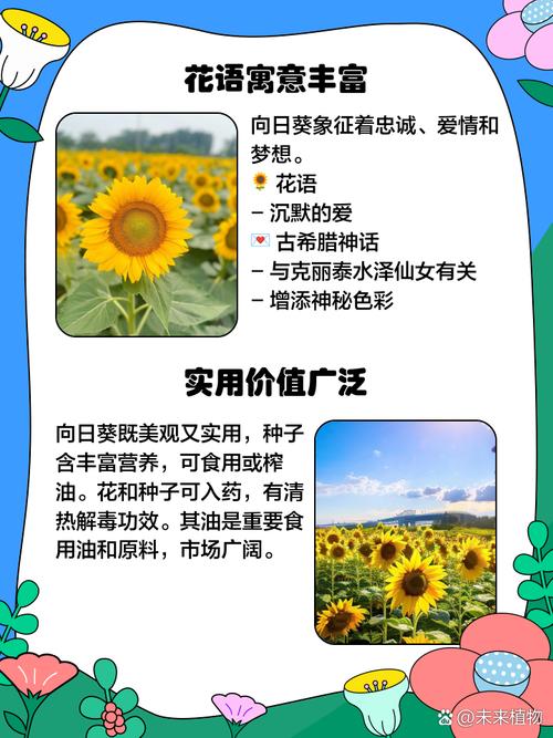 向日葵草莓秋葵黄瓜荔枝丝瓜ios应用生态解析：如何打造高流量园艺类App的三大核心策略？