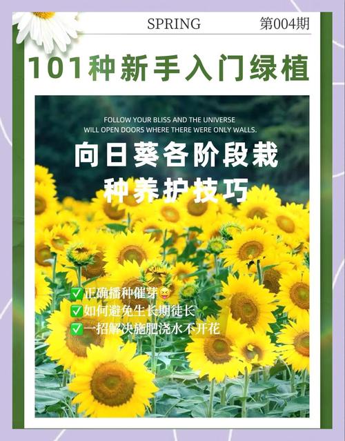 向日葵草莓秋葵黄瓜荔枝丝瓜ios应用生态解析：如何打造高流量园艺类App的三大核心策略？