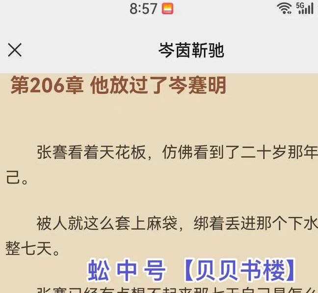 总裁新婚罪妻隐藏真相？豪门虐恋小说免费阅读指南与剧情解析