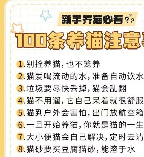 2025科学养猫终极指南：揭秘有你有我足矣入口的3大核心要诀