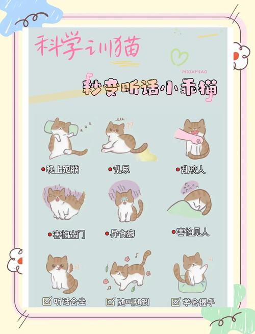 2025科学养猫终极指南：揭秘有你有我足矣入口的3大核心要诀