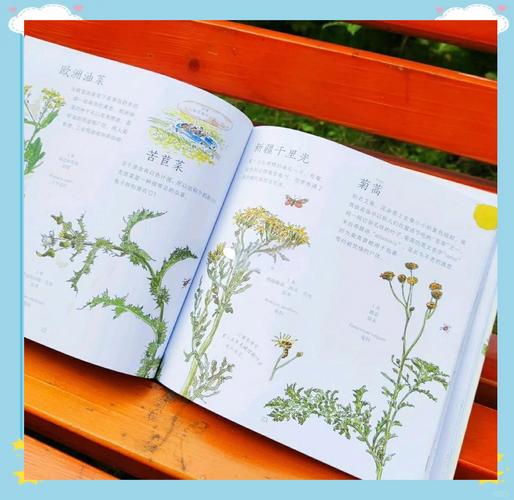 野花社区高清纪录片资源：免费获取自然科普与生态观察指南