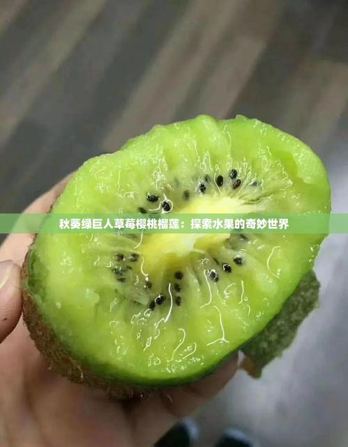 绿巨人草莓榴莲香蕉秋葵最新版高效种植方案解析:为何成为果农首选? 绿巨人草莓榴莲香蕉秋葵最新版高效种植方案解析:为何成为果农首选?