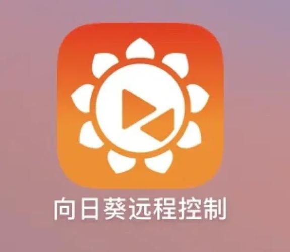 向日葵app视频皇真的安全吗？如何识别优质视频平台的关键要素？