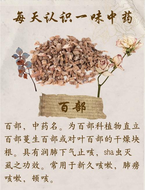 百草惊天变:揭秘中草药养生保健的五大核心功效与应用技巧 百草惊天变:揭秘中草药养生保健的五大核心功效与应用技巧