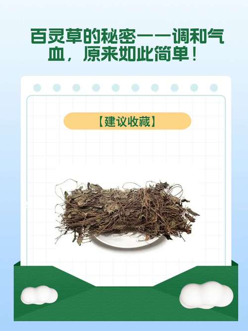 百草惊天变:揭秘中草药养生保健的五大核心功效与应用技巧 百草惊天变:揭秘中草药养生保健的五大核心功效与应用技巧