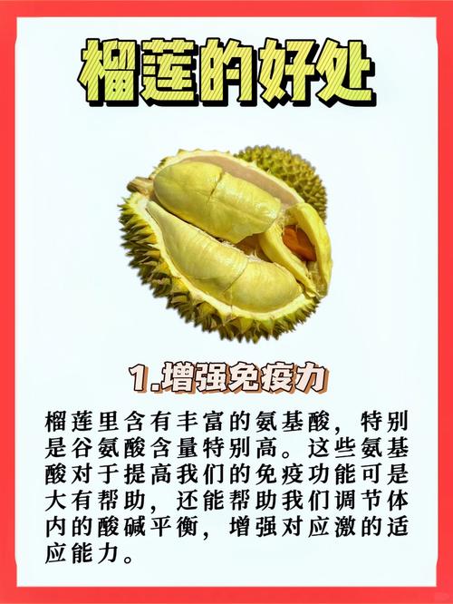 揭秘lll.999榴莲视频真相：90%人不知道的果王食用禁忌与营养价值