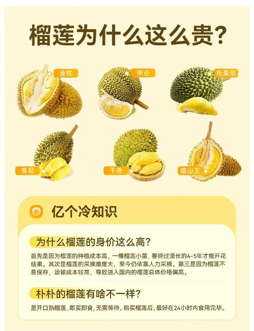 揭秘lll.999榴莲视频真相：90%人不知道的果王食用禁忌与营养价值