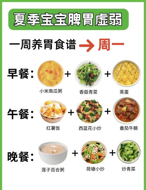 黄瓜丝瓜香蕉秋葵樱桃安卓搭配秘籍：5款健康食谱+实用APP推荐，提升家庭饮食质量