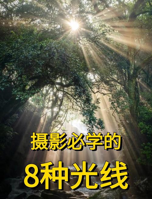 5个不可错过的Japanesemature高清摄影技巧：行业专家权威解析