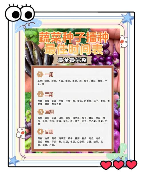 家庭种植新选择：丝瓜草莓芭乐秋葵黄瓜向日葵免费版的高效种植指南与营养解析