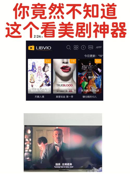 Libvio神秘消失背后:免费追剧神器为何一夜之间无影无踪? Libvio神秘消失背后:免费追剧神器为何一夜之间无影无踪?