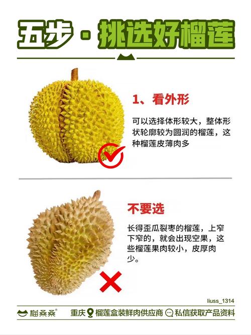 绿巨人榴莲视频：5大品种评测+10个挑选技巧（行业专家深度解析）