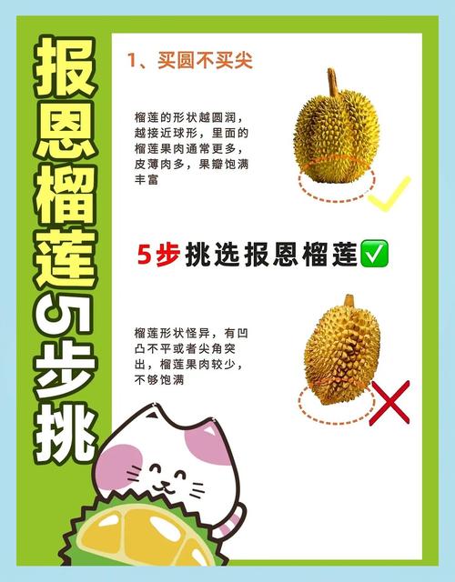 绿巨人榴莲视频：5大品种评测+10个挑选技巧（行业专家深度解析）