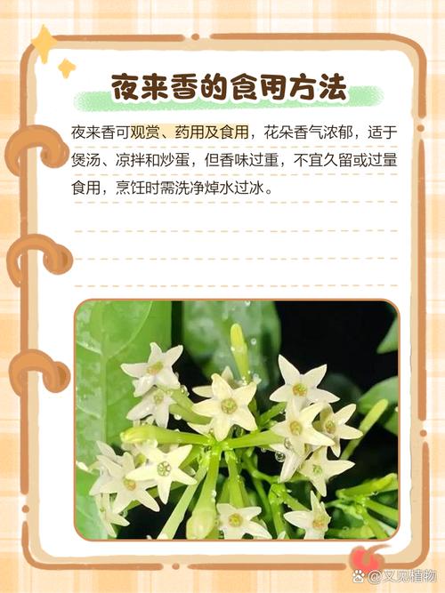 2025必看的10个夜来香短视频精选爆款秘籍（附行业专家深度解析）