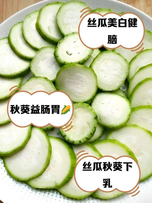 5款iOS视频拍摄神器+10种果蔬创意食谱:绿巨人秋葵草莓樱桃丝瓜香蕉全解析 5款iOS视频拍摄神器+10种果蔬创意食谱:绿巨人秋葵草莓樱桃丝瓜香蕉全解析