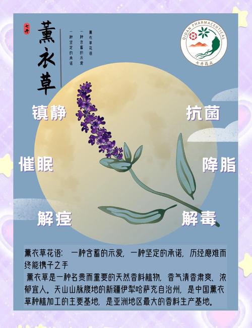 5大权威平台解析：薰衣草实验研究所免费入口及科学实验视频资源