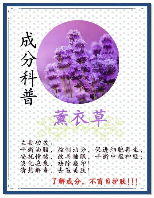 5大权威平台解析：薰衣草实验研究所免费入口及科学实验视频资源