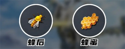 荒野起源蜂蜜量产秘诀：如何建立永久性蜜源基地？