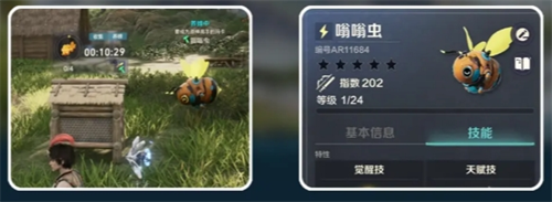 荒野起源蜂蜜量产秘诀：如何建立永久性蜜源基地？