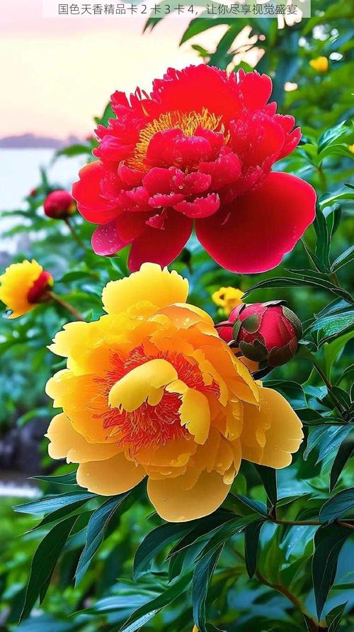 如何通过国色天香一卡多享实现视频无限观看?这3个技巧你知道吗? 如何通过国色天香一卡多享实现视频无限观看?这3个技巧你知道吗?