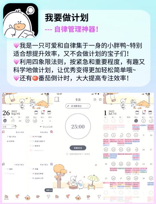 暖暖密桃app功能解析：提升效率的五大实用技巧与安全使用指南