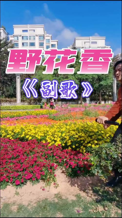 2025年野花香视频高清清爽版免费观看指南：5大权威平台推荐及资源获取技巧