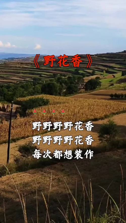 2025年野花香视频高清清爽版免费观看指南：5大权威平台推荐及资源获取技巧