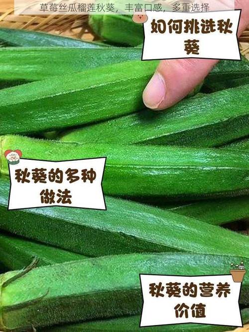 榴莲、芭乐、丝瓜、秋葵、草莓、向日葵如何搭配食用更营养?这些食材隐藏哪些健康密码? 榴莲、芭乐、丝瓜、秋葵、草莓、向日葵如何搭配食用更营养?这些食材隐藏哪些健康密码?