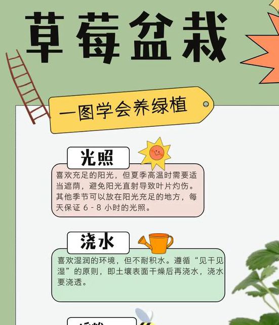 草莓向日葵丝瓜小猪：家庭种植与萌宠养护的3大实用技巧