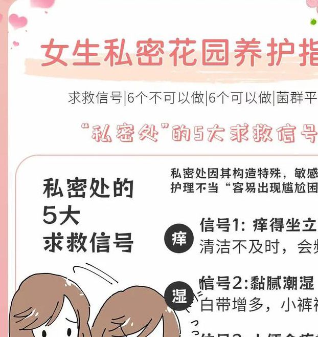 女性隐私安全防护技巧：高效解决方案与核心策略深度解析