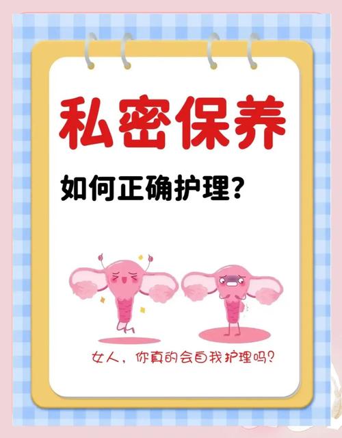女性隐私安全防护技巧：高效解决方案与核心策略深度解析