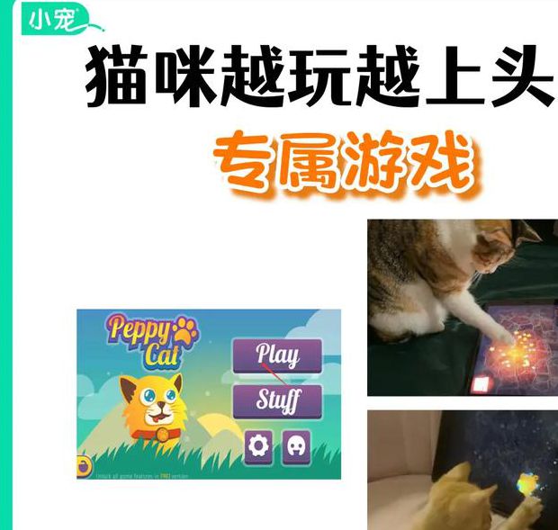 5款猫咪趣味视频APP推荐:萌宠达人必备的娱乐工具盘点 5款猫咪趣味视频APP推荐:萌宠达人必备的娱乐工具盘点