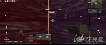 这个神秘进化法则，如何让普通玩家逆袭成生态主宰？掌握核心技巧打造专属生物帝国