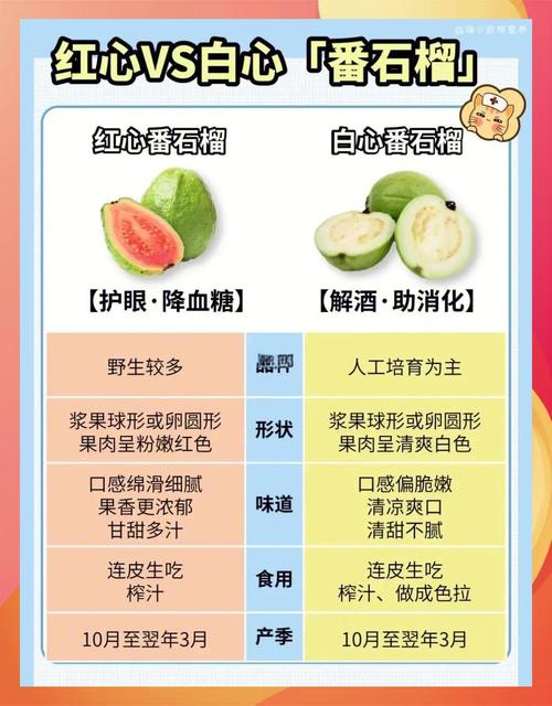 家庭种植芭乐丝瓜 vs 网红零食草莓鸭脖：哪种生活方式更能带来健康幸福感？