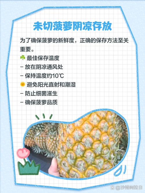 大菠萝福利污隐藏福利解析:3大合法获取技巧与避坑指南(附资源清单) 大菠萝福利污隐藏福利解析:3大合法获取技巧与避坑指南(附资源清单)