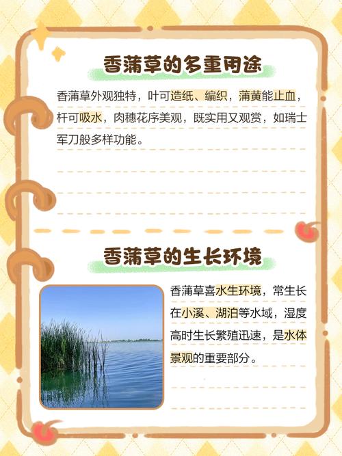 香草视频无限版5大核心优势解析：高清资源、免费追剧技巧与避坑指南