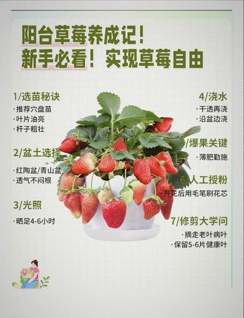 如何免费获取草莓榴莲向日葵秋葵香蕉的种植技巧？专家分享5大实用方法