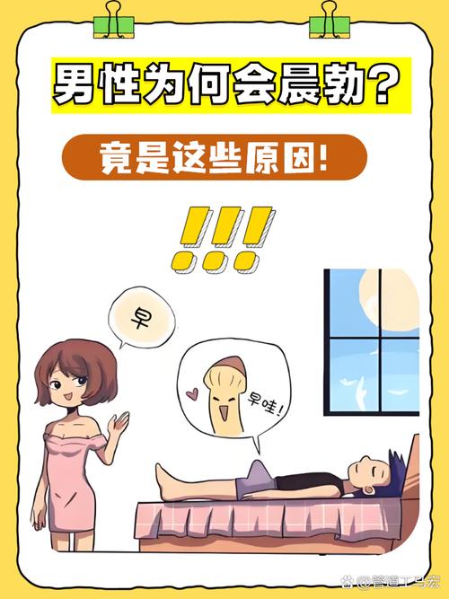 晨起硬度揭秘：5大生理机制解读与男性健康必知要点（权威医生解析）