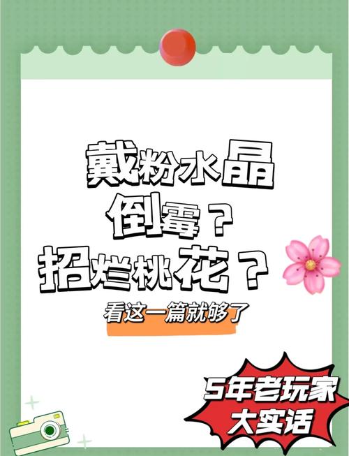 一个人看桃花APP使用全攻略：避开人潮、解锁隐藏拍摄技巧与避坑指南