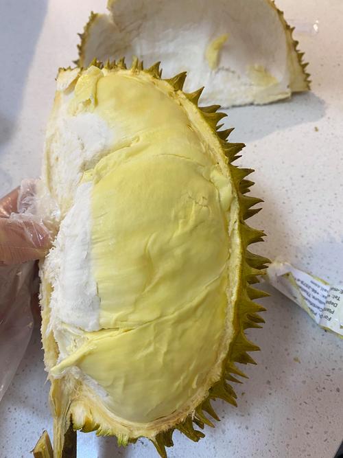 为何榴莲美食视频多人运动备受关注？免费资源如何获取？